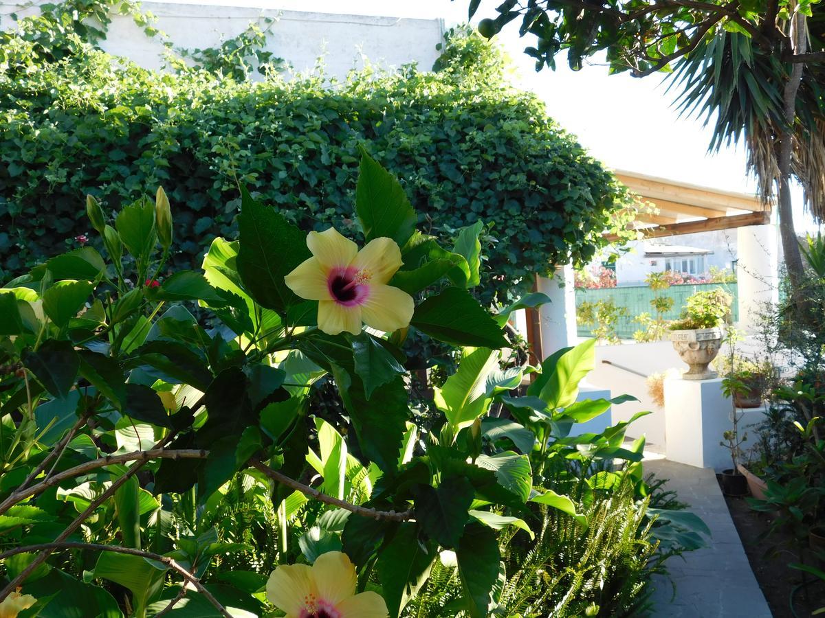 Aparthotel La Pergola